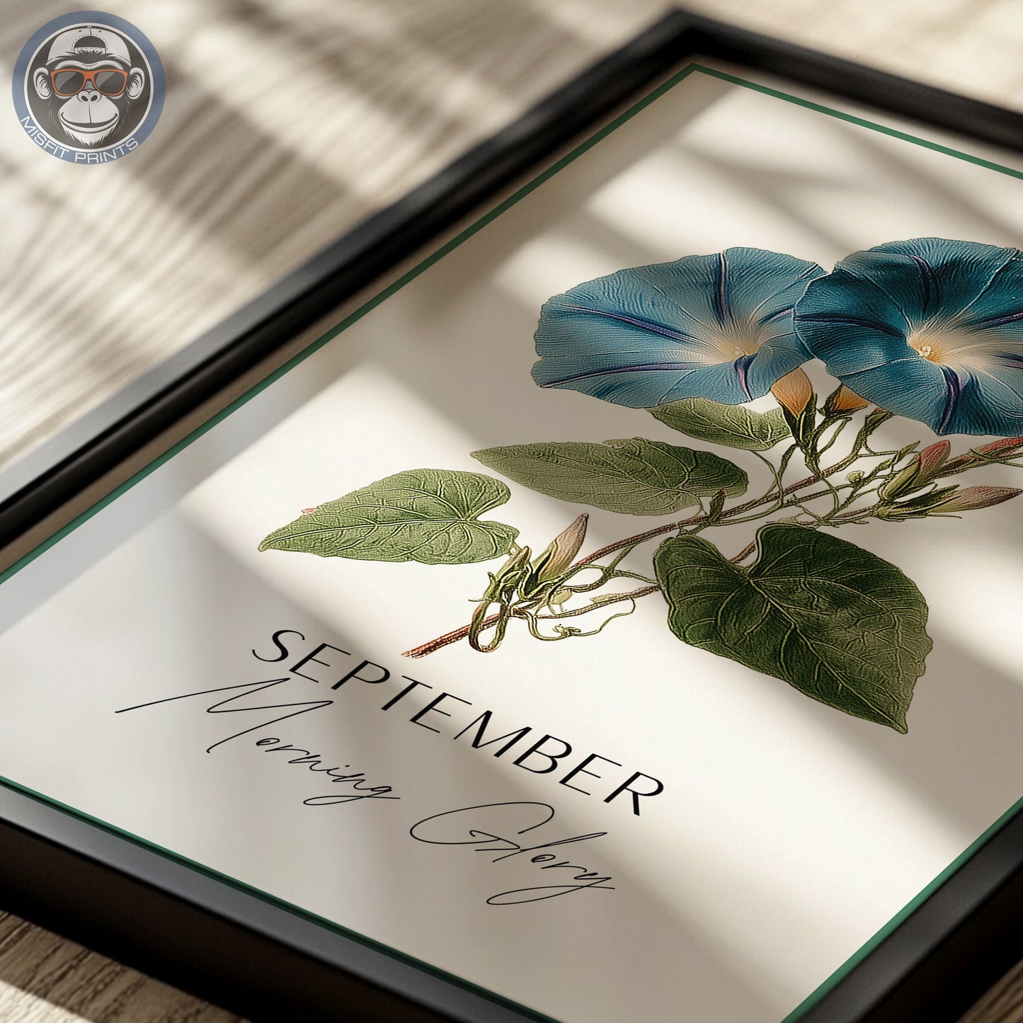 Morning Glory Print: September Birth Flower Botanical Art