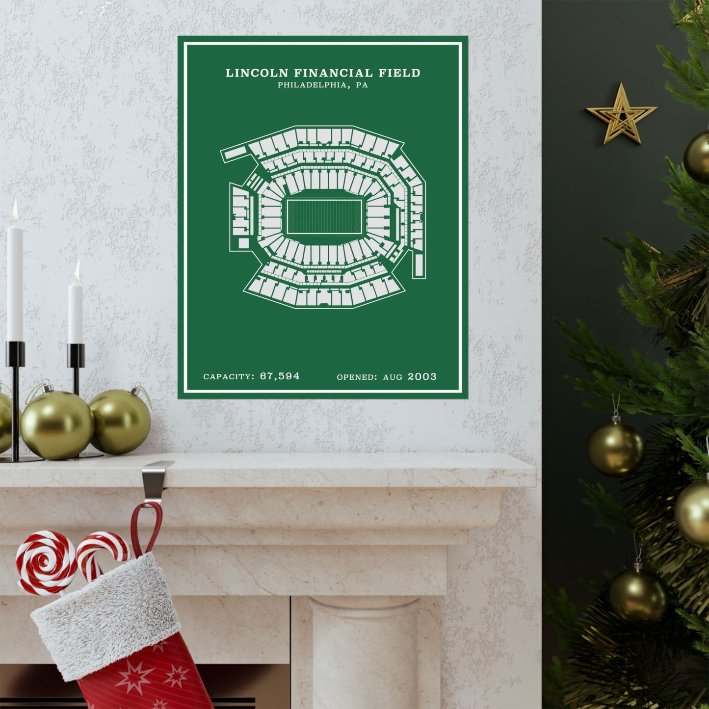 Lincoln Financial Stadium Poster | Modern Border