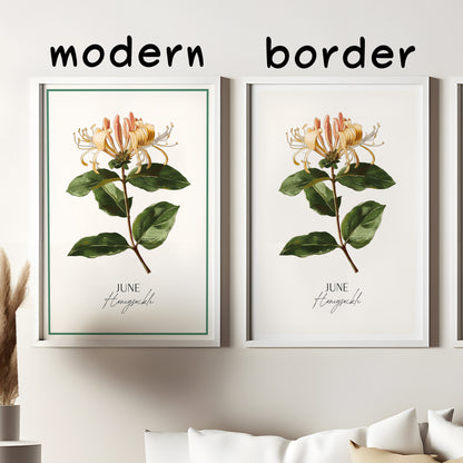 Honeysuckle Print: June Birth Flower Botanical Art