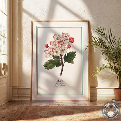 Hawthorn Print: May Birth Flower Botanical Art