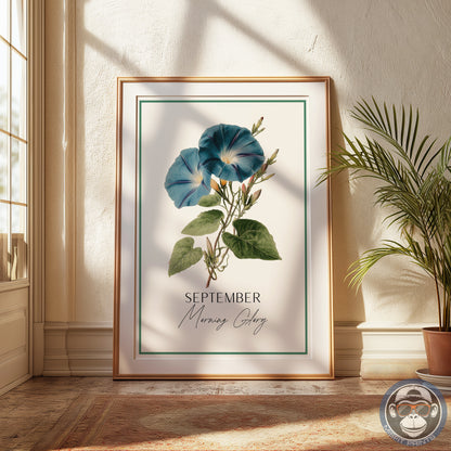 Morning Glory Print: September Birth Flower Botanical Art