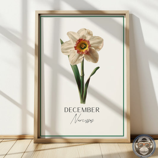 Narcissus Print: December Birth Flower Botanical Art