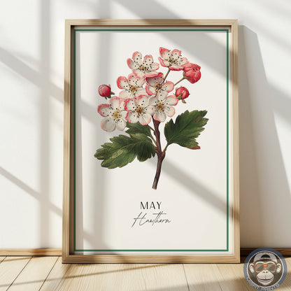 Hawthorn Print: May Birth Flower Botanical Art