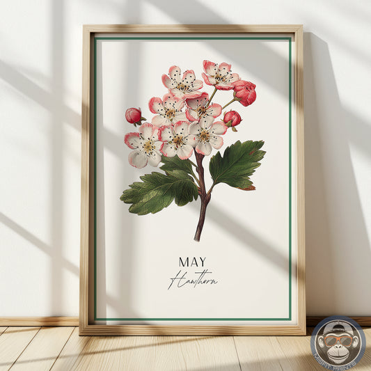 Hawthorn Print: May Birth Flower Botanical Art