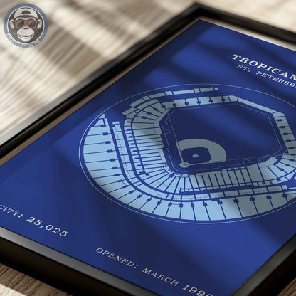 Tropicana Field | Border Print