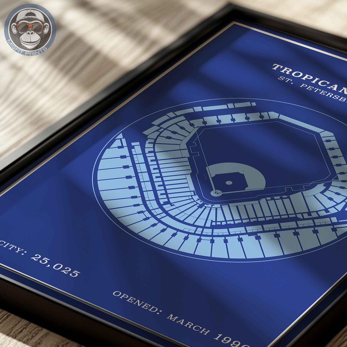 Tropicana Field | Modern Border Print