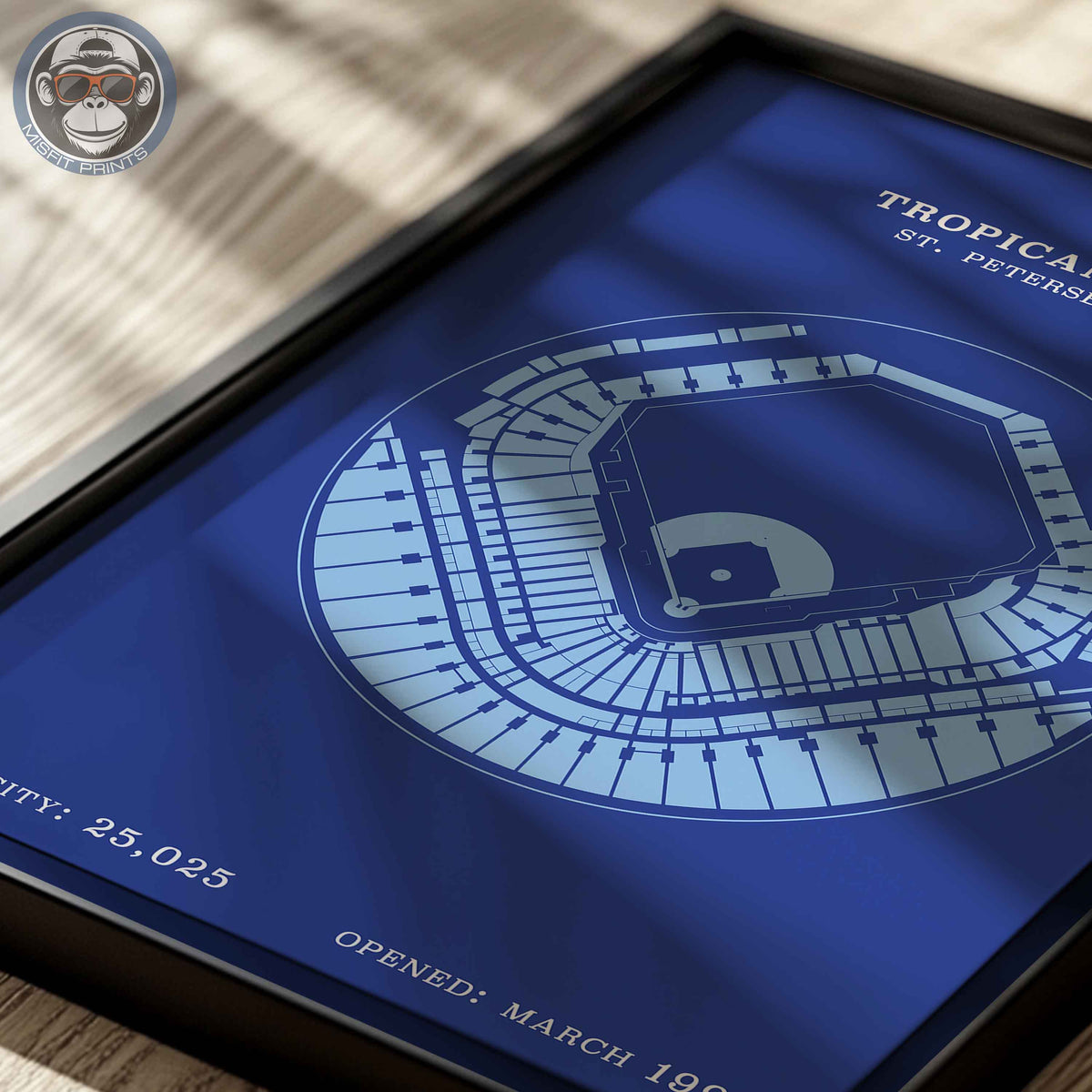 Tropicana Field | No Border Print