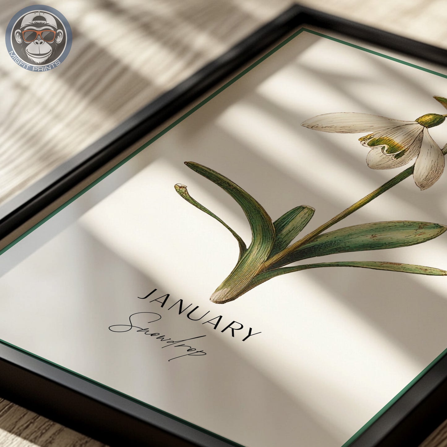 Snowdrop Print: January Birth Flower Botanical Art