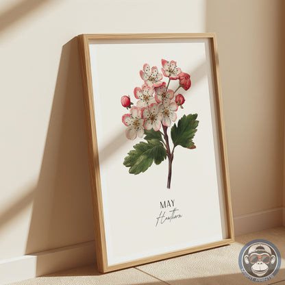 Hawthorn Print: May Birth Flower Botanical Art