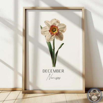 Narcissus Print: December Birth Flower Botanical Art