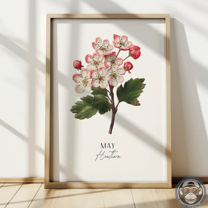 Hawthorn Print: May Birth Flower Botanical Art