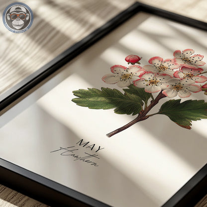 Hawthorn Print: May Birth Flower Botanical Art