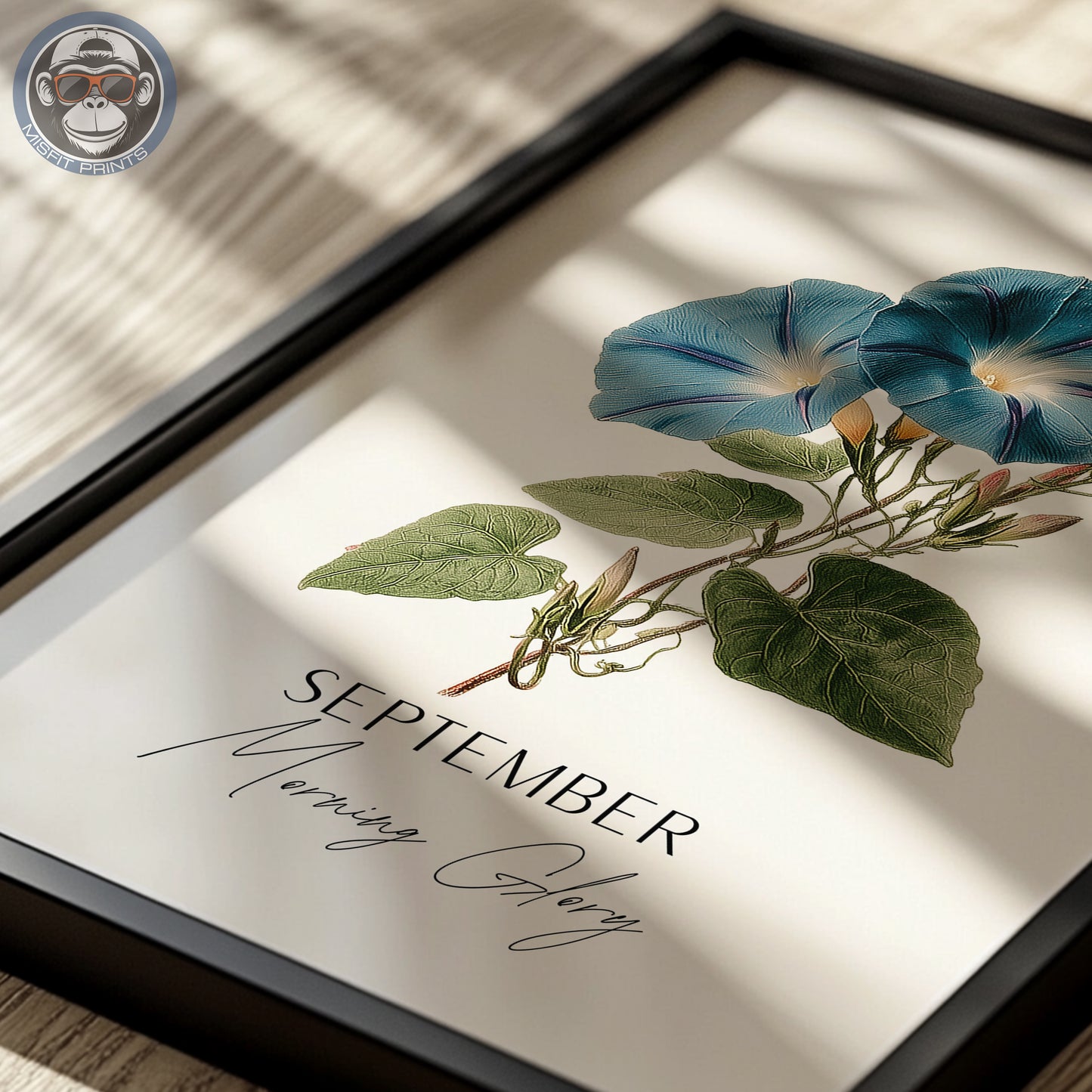Morning Glory Print: September Birth Flower Botanical Art