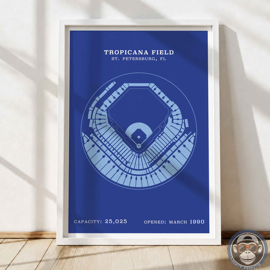 Tropicana Field | Border Print