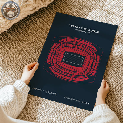 Reliant Stadium - No Border Print