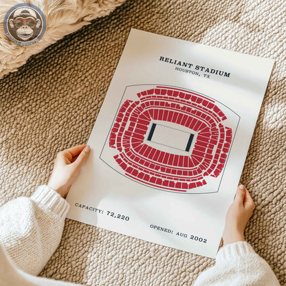 Reliant Stadium - No Border Print