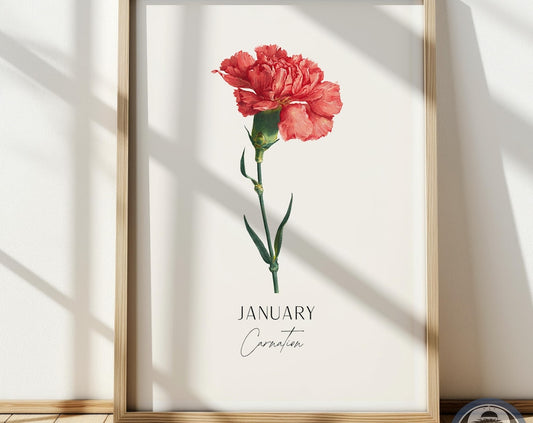 Carnation Flower Print: January Birth Month Botanical Art